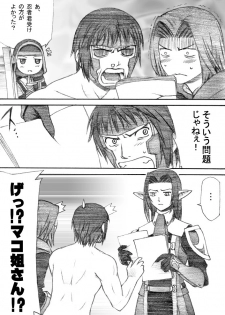 [TaisaiSOFT] Taisai no Hon II (Final Fantasy XI) - page 17
