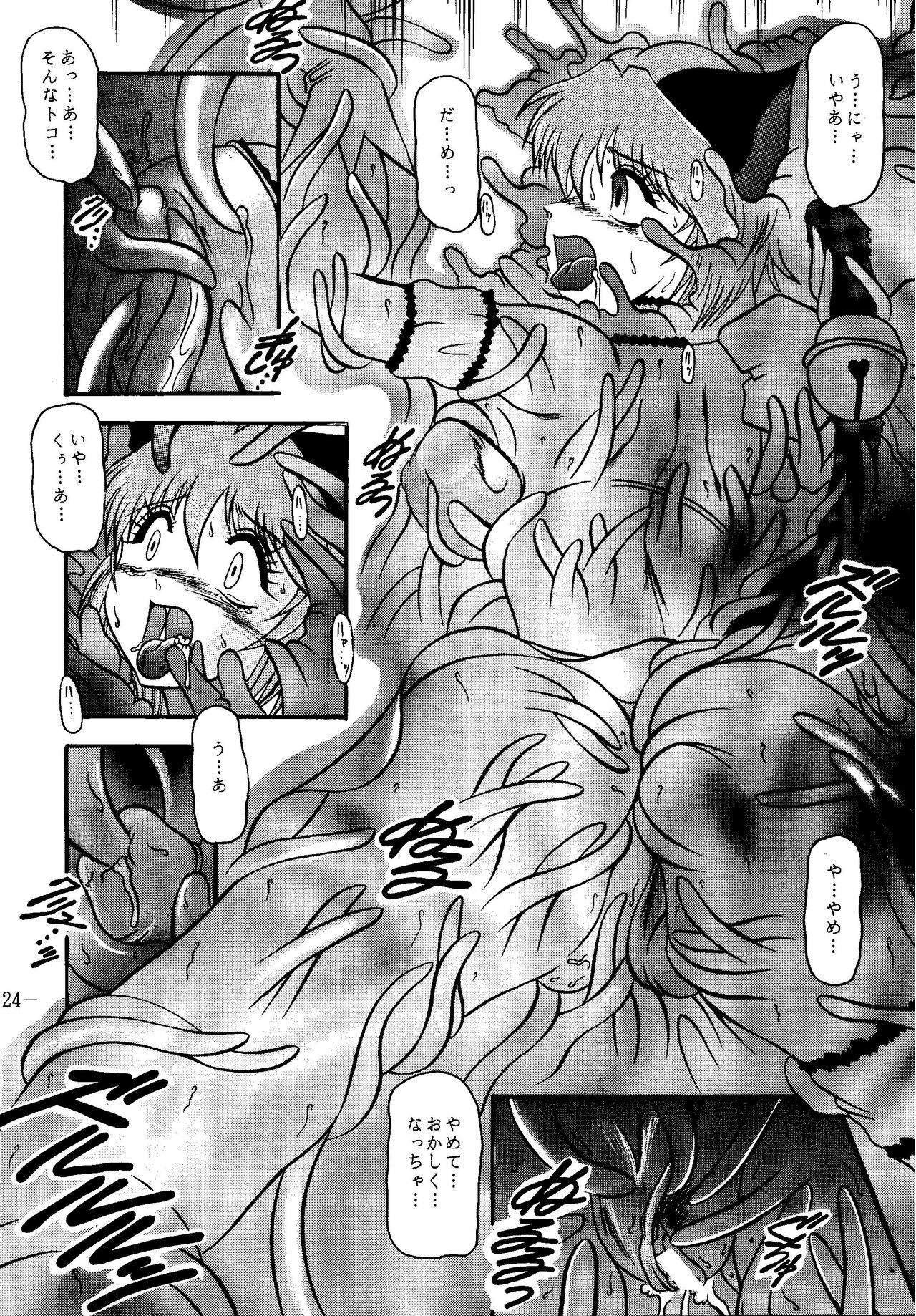 (SC19) [Studio Kyawn (Murakami Masaki, Sakaki Shigeru)] RIBBON APPLE POPS (Tokyo Mew Mew) page 24 full