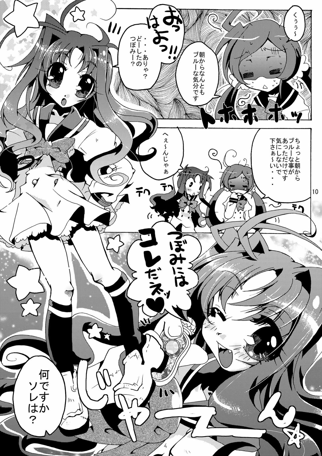 (C78) [Sau sama (Tanono)] B.M.S! (Heartcatch Precure!) page 10 full