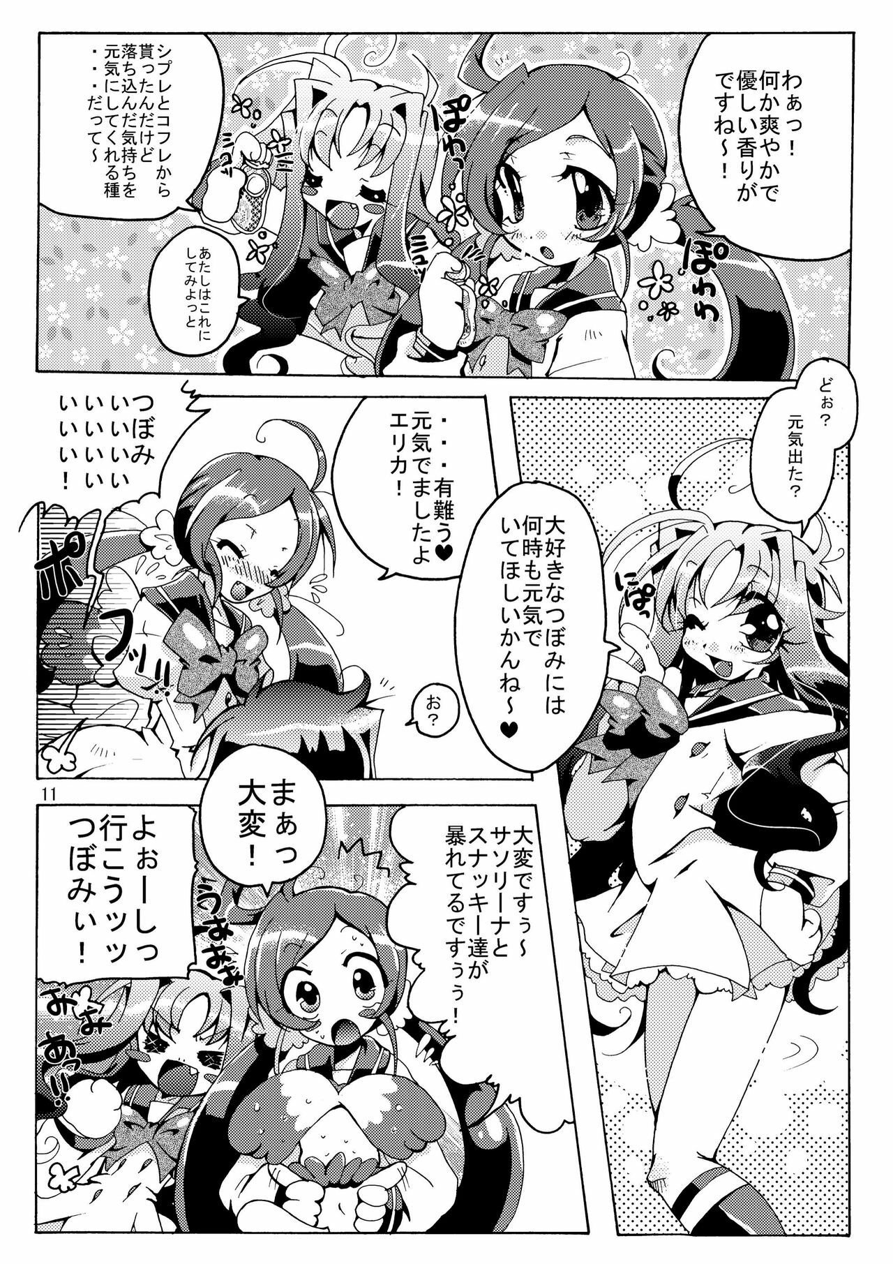 (C78) [Sau sama (Tanono)] B.M.S! (Heartcatch Precure!) page 11 full