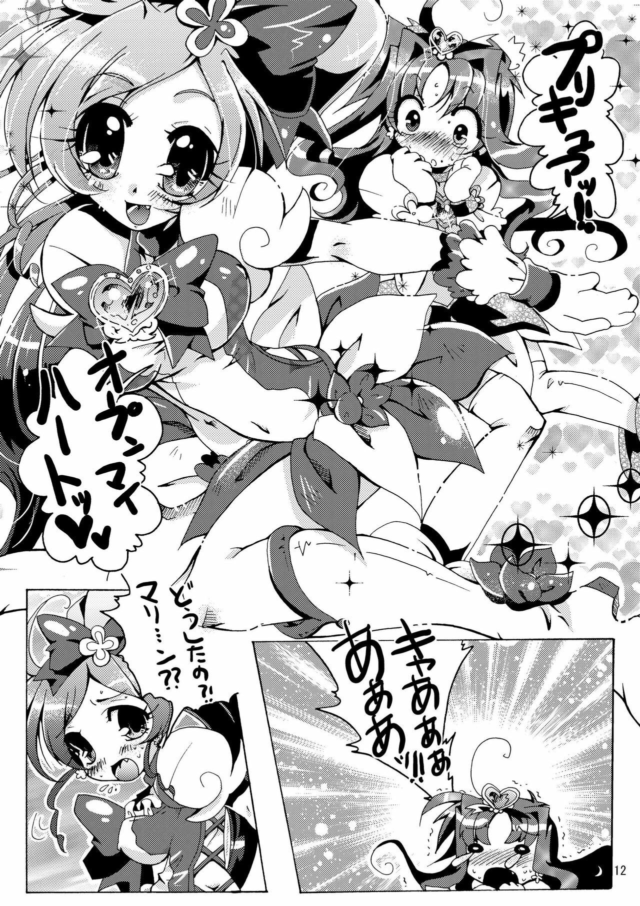 (C78) [Sau sama (Tanono)] B.M.S! (Heartcatch Precure!) page 12 full