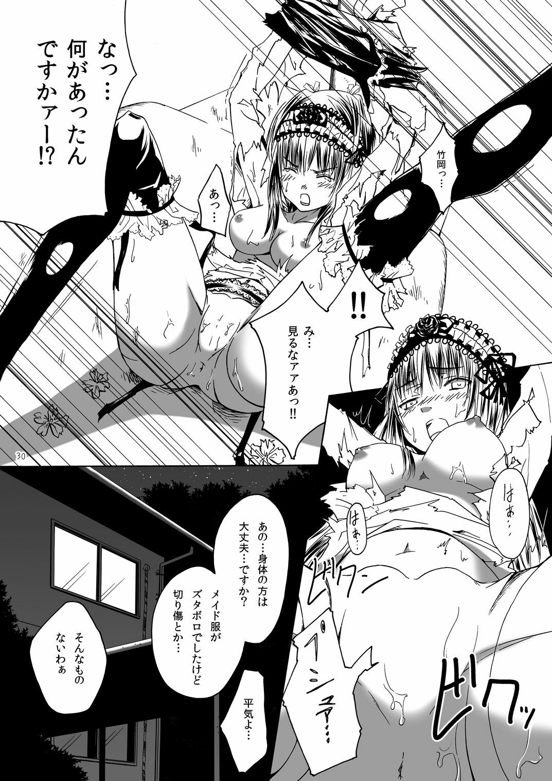 (MakiMaki 12) [Suikyouka (Yuuki Aiyu)] Dimension (Rozen Maiden) page 30 full