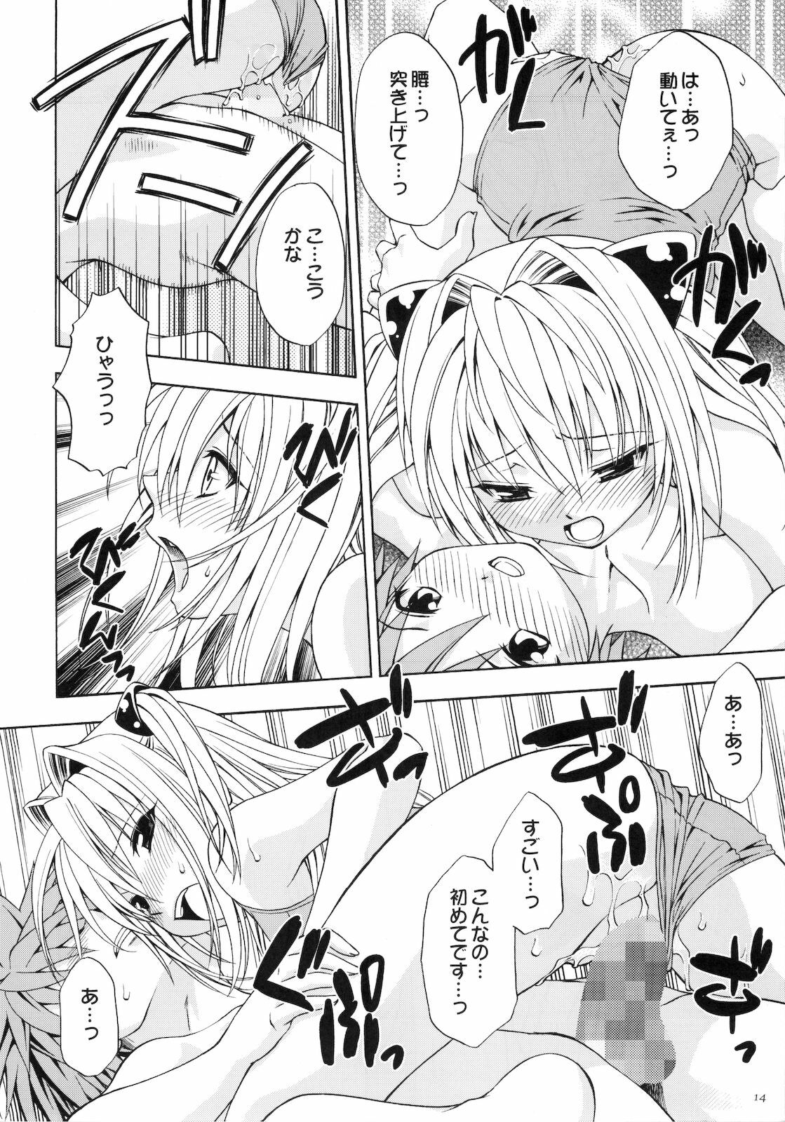 (COMIC1☆2) [Studio Wallaby (Shizaki Masayuki)] Ecchii no wa Suki Desu ka? (To LOVE-Ru) page 14 full