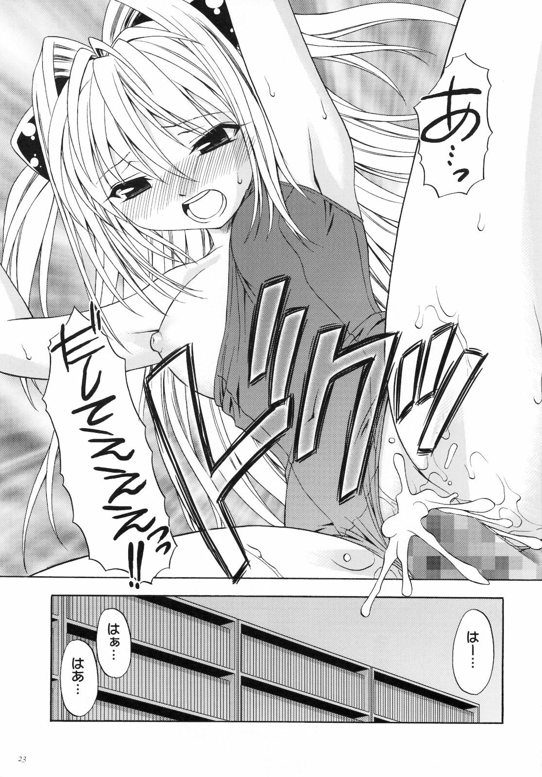 (COMIC1☆2) [Studio Wallaby (Shizaki Masayuki)] Ecchii no wa Suki Desu ka? (To LOVE-Ru) page 23 full