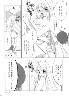 (C76) [NIKKA (Mario Kaneda)] Princess Code 03 (Seiken Densetsu 3) - page 24