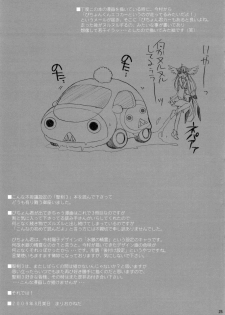 (C76) [NIKKA (Mario Kaneda)] Princess Code 03 (Seiken Densetsu 3) - page 25