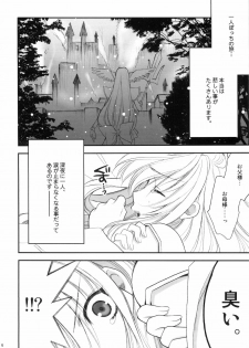 (C76) [NIKKA (Mario Kaneda)] Princess Code 03 (Seiken Densetsu 3) - page 6