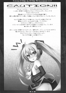 (C76) [Botugo (RYO)] Little Little Princess (VOCALOID) - page 6