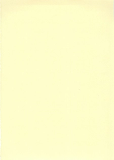 (C75) [Bicolor (Kuroshiro Neko)] Fairy Rose (Seiken Densetsu 3) - page 32