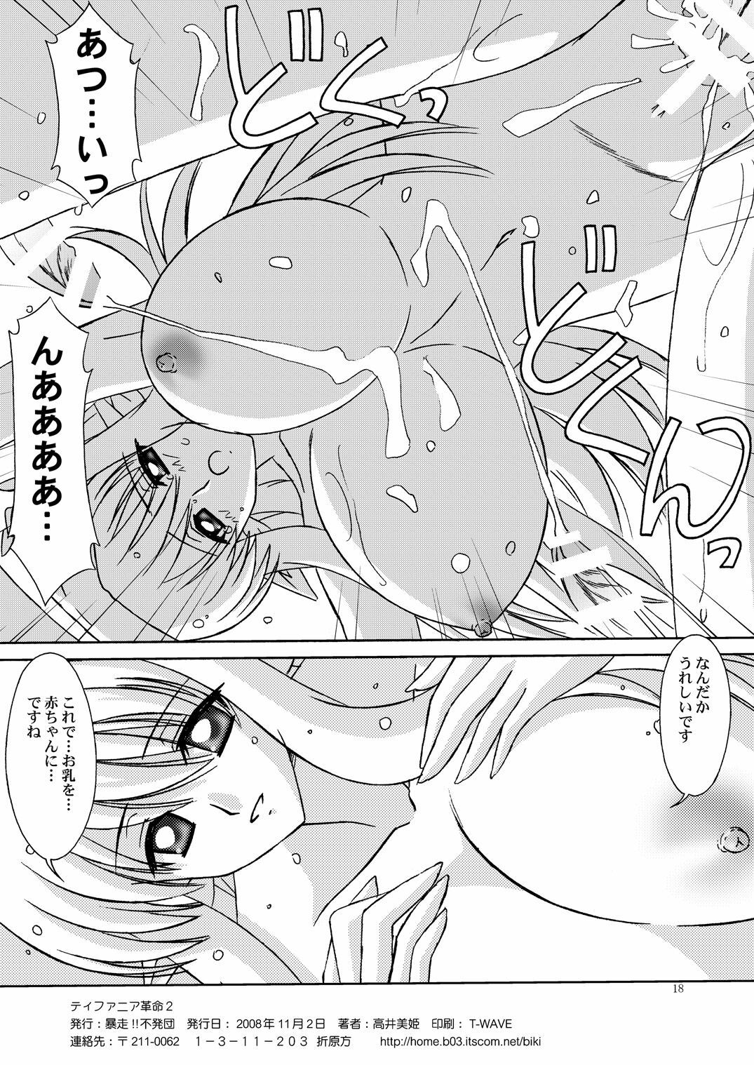 [Bousou!! Fuhatsudan (Takai Biki)] Tiffania Kakumei 2 (Zero no Tsukaima) page 17 full