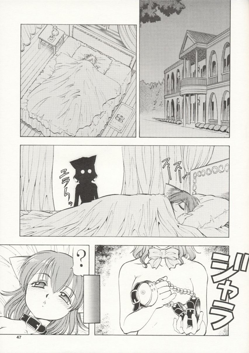 [Itoyoko] Maid Cats Story page 46 full