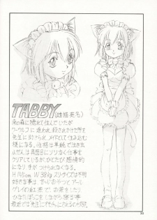 [Itoyoko] Maid Cats Story - page 29