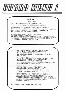 (COMIC1☆4) [Jumelles (HAWKEAR)] Ungro Menu 1 (Neon Genesis Evangelion) [English] =Imari+Someone1001= - page 3