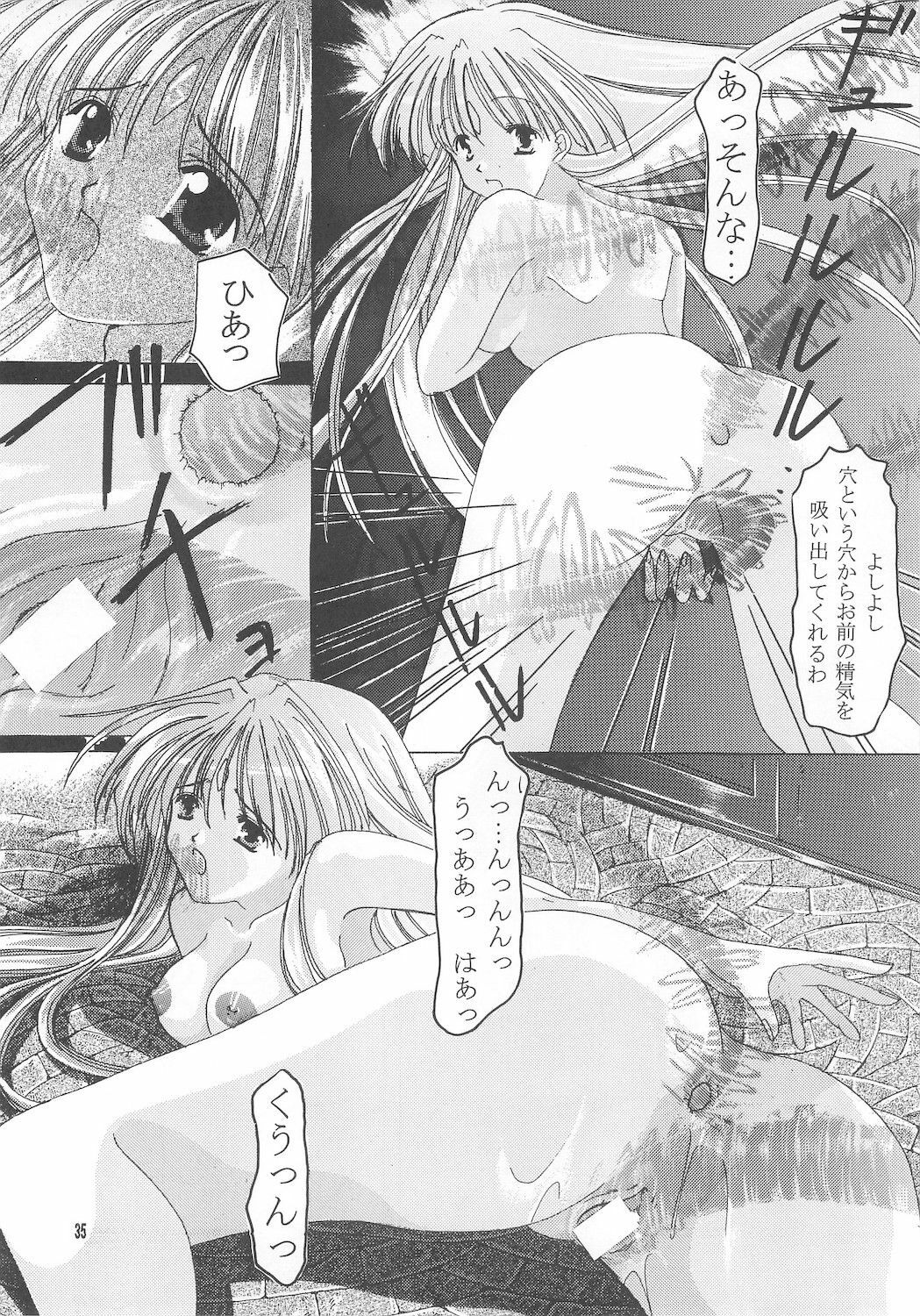 (Mimiket) [Nettaigyo Club (YoZi, Tako)] Rhapsody (Romance wa Tsurugi no Kagayaki II) page 35 full