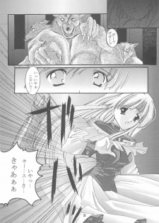 (Mimiket) [Nettaigyo Club (YoZi, Tako)] Rhapsody (Romance wa Tsurugi no Kagayaki II) - page 23