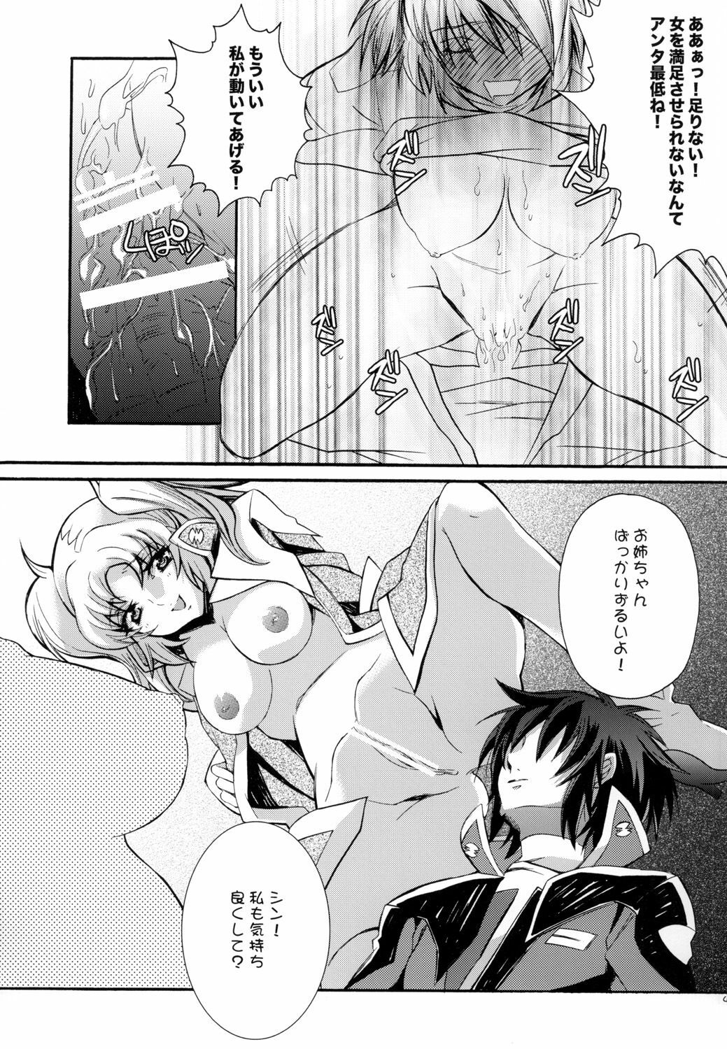 (C70) [Unizo (UNIKURA)] Sexual Heroines (Gundam SEED DESTINY) page 40 full