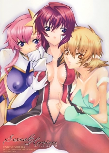 (C70) [Unizo (UNIKURA)] Sexual Heroines (Gundam SEED DESTINY) - page 44