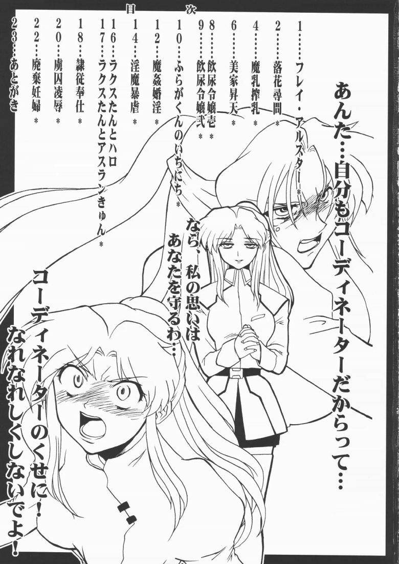 [Matsumoto Drill Laboratory] Drill Freedom (Mobile Suit Gundam SEED) page 2 full