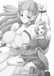 (COMIC1☆3) [Youkai Tamanokoshi (CHIRO)] SANCHO SHOW (Dragon Quest V) [English] {doujin-moe.us} - page 30