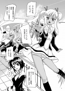 (C78) [CARTAGRA (Shiina Kazuki, Kugami Angning)] ARCANUMS 18 Emily (Mahou Sensei Negima!) - page 3