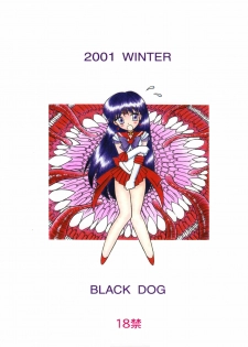 [BLACK DOG (Kuroinu Juu)] Red Hot Chili Pepper (Bishoujo Senshi Sailor Moon) [2002-01-31] - page 30