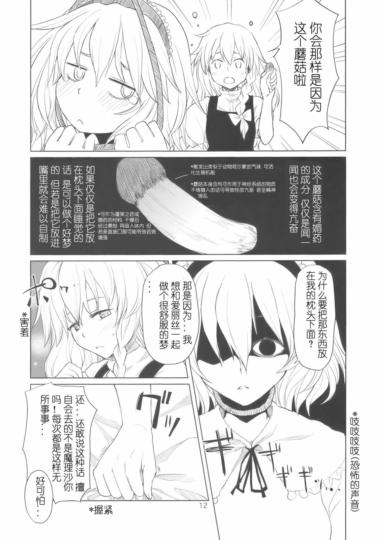 (Kouroumu 5) [MMU2000 (Mishima Hiroji)] Alice no Jikan (Touhou Project) [Chinese] page 13 full