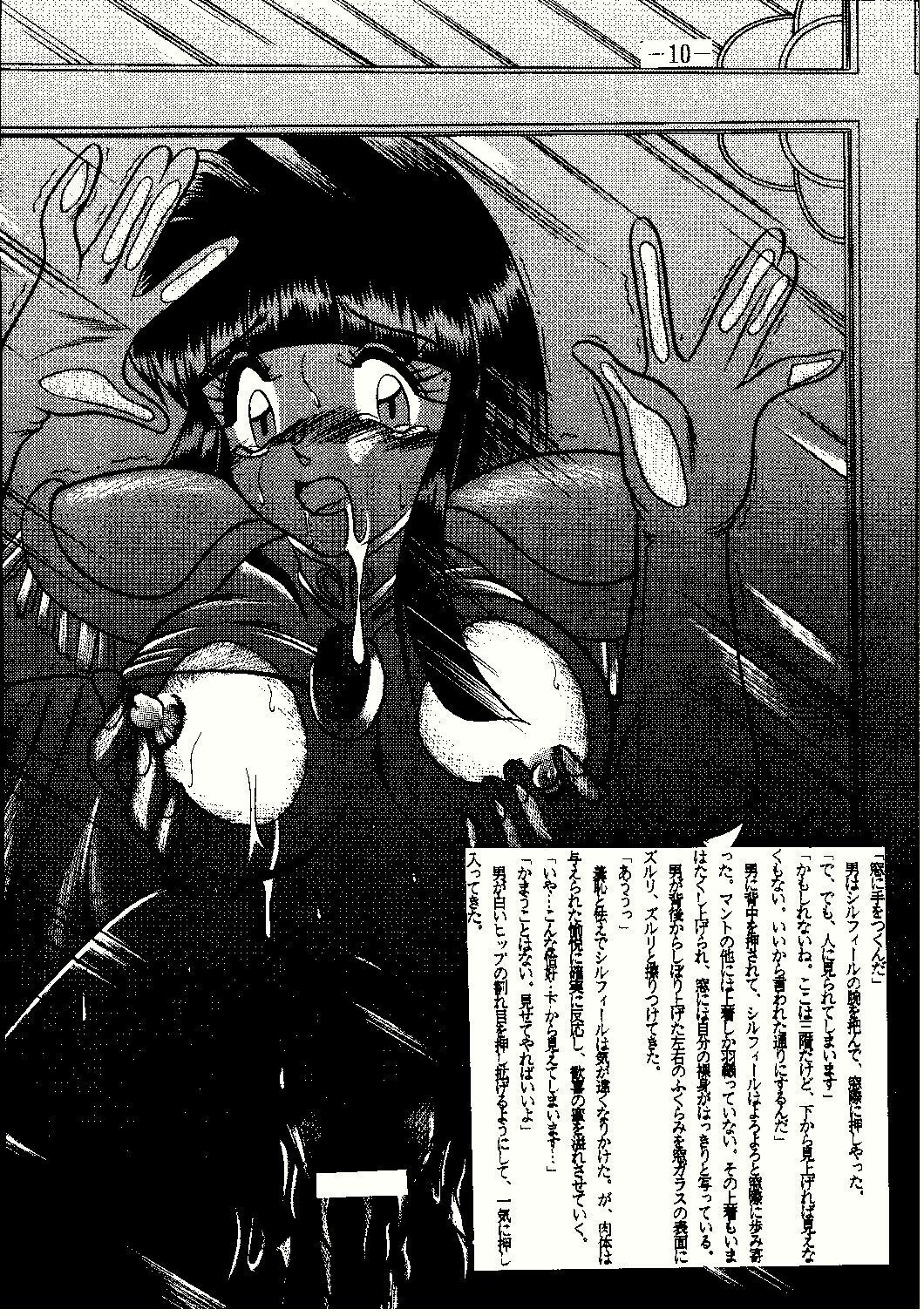 (CR23) [Studio Kyawn (Murakami Masaki, Sakaki Shigeru)] Shinseiki (Slayers) page 10 full
