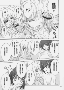 (C75) [SEITOKAISHITSU (Akimoto Dai)] Rokka wa Honjitsu mo Ijounashi (Mahou Shoujo Lyrical Nanoha) [Chinese] [萌の空漢化社] - page 11