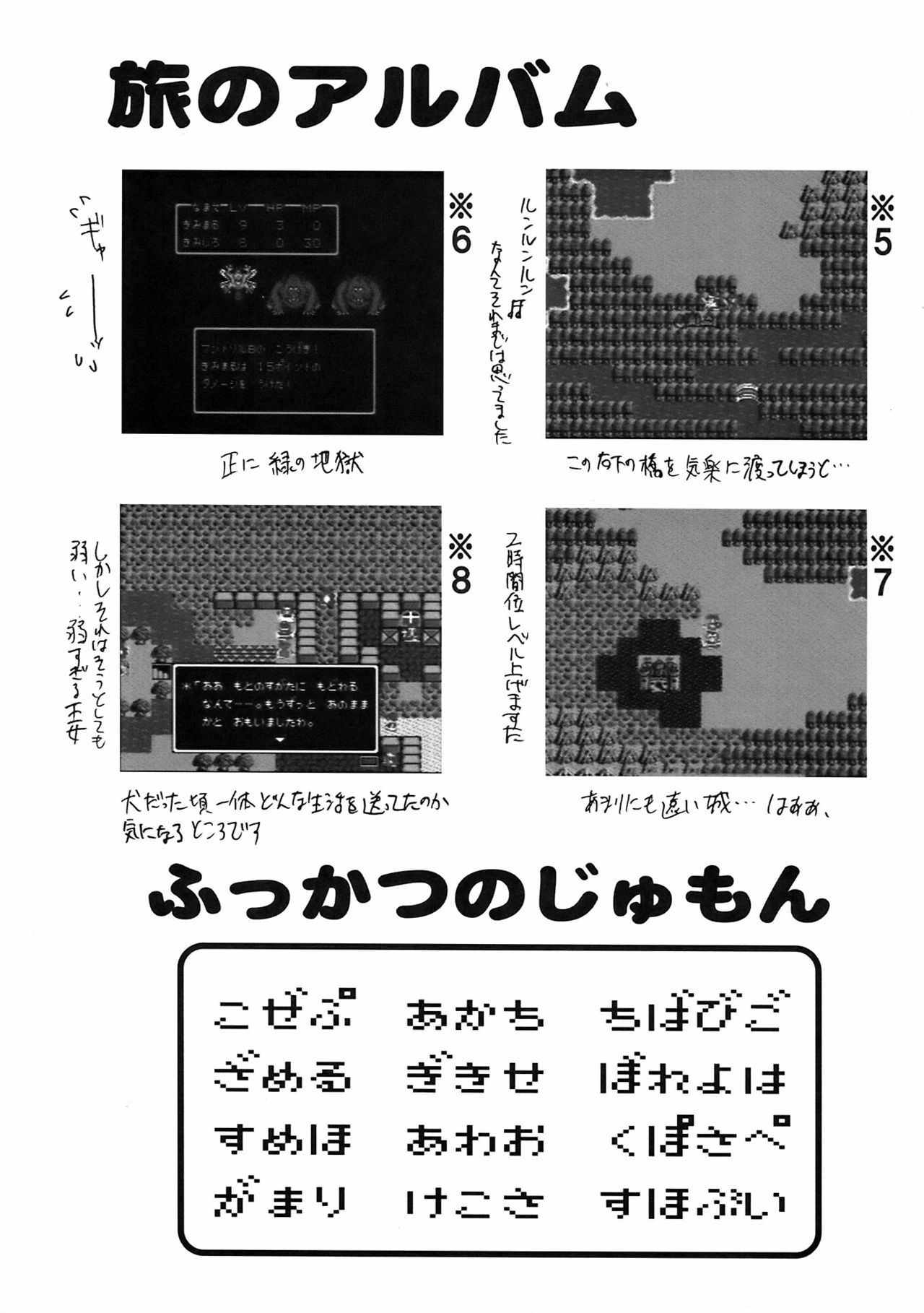 (C72) [Studio KIMIGABUCHI (Various)] Moyomoto II (Dragon Quest II, Dragon Quest III) page 75 full