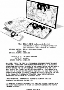 (C61) [GUST (Harukaze Soyogu)] Kuronekotachi no Kyouen La banquet de Chat Noir | Feat of the Black Cats -La banquet de Chat Noir- (Noir) [English] [Elegant Succubus] - page 33