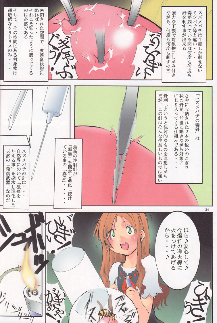 (COMITIA90) [Algolagnia (Mikoshiro Honnin)] St.Margareta Gakuen Black File page 33 full