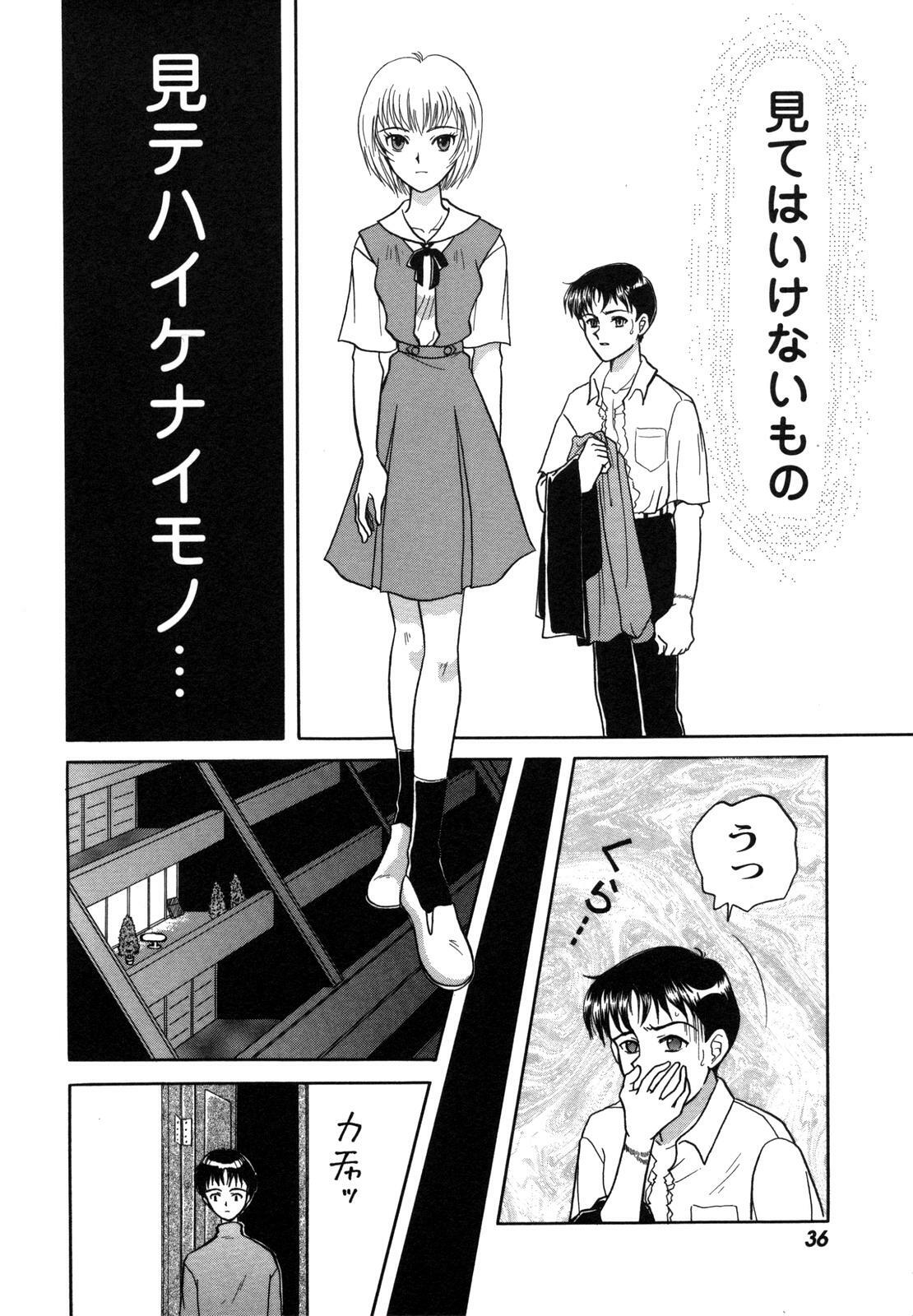 [Anthology] ProjectE Dainiji Chuukanhoukoku (Neon Genesis Evangelion) page 36 full