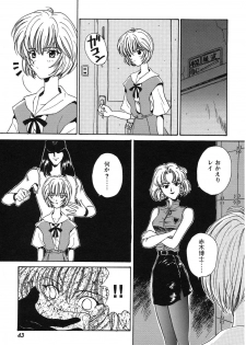 [Anthology] ProjectE Dainiji Chuukanhoukoku (Neon Genesis Evangelion) - page 43