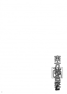 [Tsukudani Gottani (Tsukudani Shirou)] Touhou Koniro Kyou Kai 2 (Touhou Project) - page 13