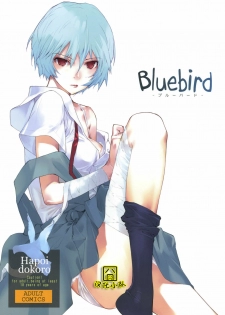 (C77) [Hapoi-dokoro (Okazaki Takeshi)] Bluebird (Neon Genesis Evangelion) [Chinese] [囧囧汉化小队] - page 1