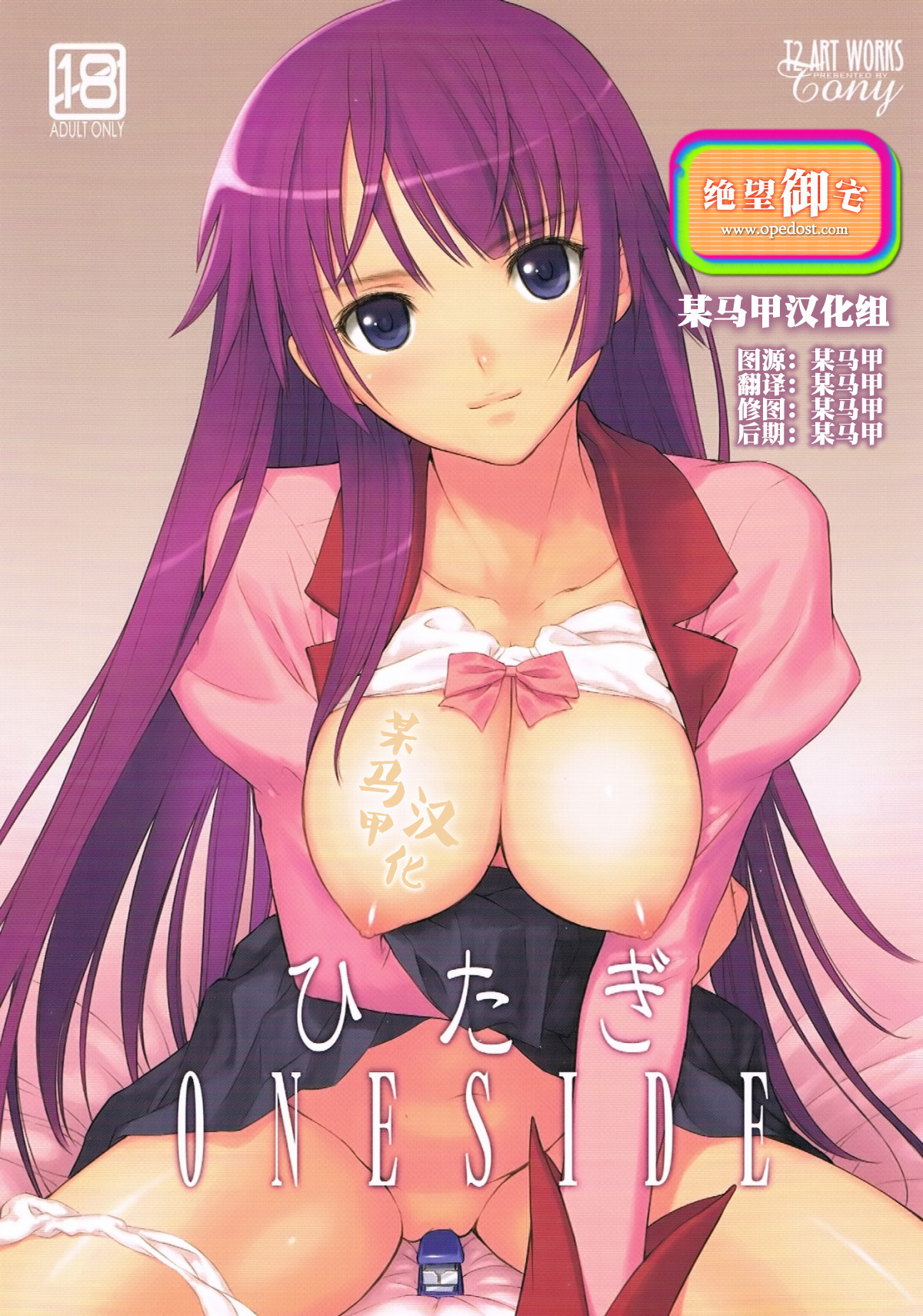 (C77) [T2 ART WORKS (Tony)] Hitagi ONE SIDE (Bakemonogatari) [Chinese] [某马甲汉化组] page 1 full