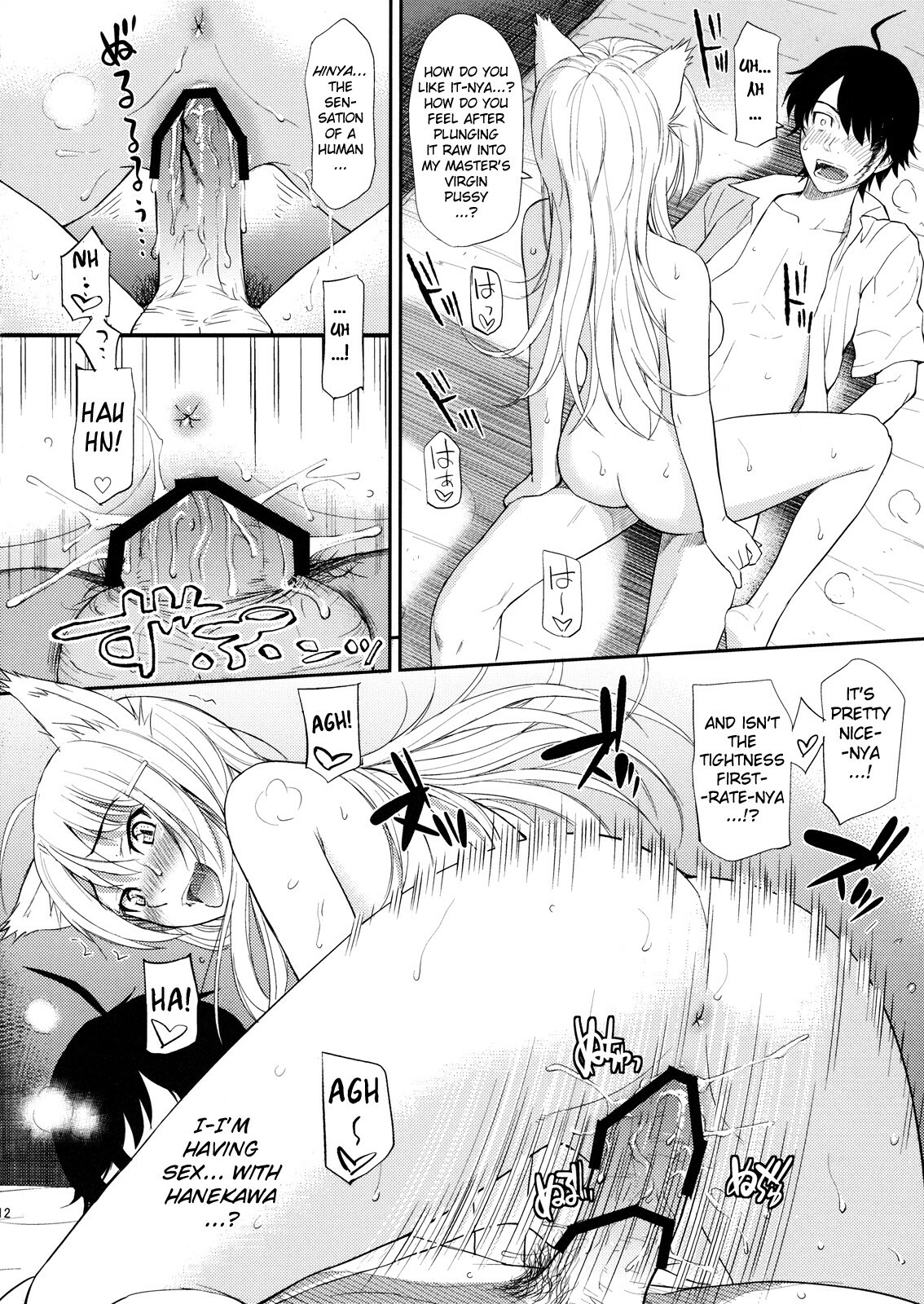 (C78) [Homunculus] Bakenekogatari (Bakemonogatari) [English] {doujin-moe.us} page 12 full