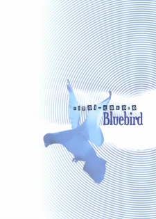(C77) [Hapoi-dokoro (Okazaki Takeshi)] Bluebird (Neon Genesis Evangelion) [Chinese] [51FE汉化组] - page 26