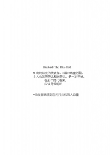 (C77) [Hapoi-dokoro (Okazaki Takeshi)] Bluebird (Neon Genesis Evangelion) [Chinese] [51FE汉化组] - page 3
