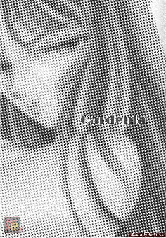 [Momoiro-Rip (Sugar Milk)] Gardenia (Saint Seiya) page 2 full