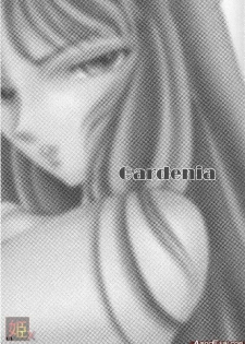 [Momoiro-Rip (Sugar Milk)] Gardenia (Saint Seiya) - page 2