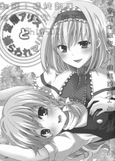 (C77) [Custom Size (Sakurai Makoto)] Hentai Alice to Toraware Marisa (Touhou Project) [Chinese] [萌會漢化組] - page 4