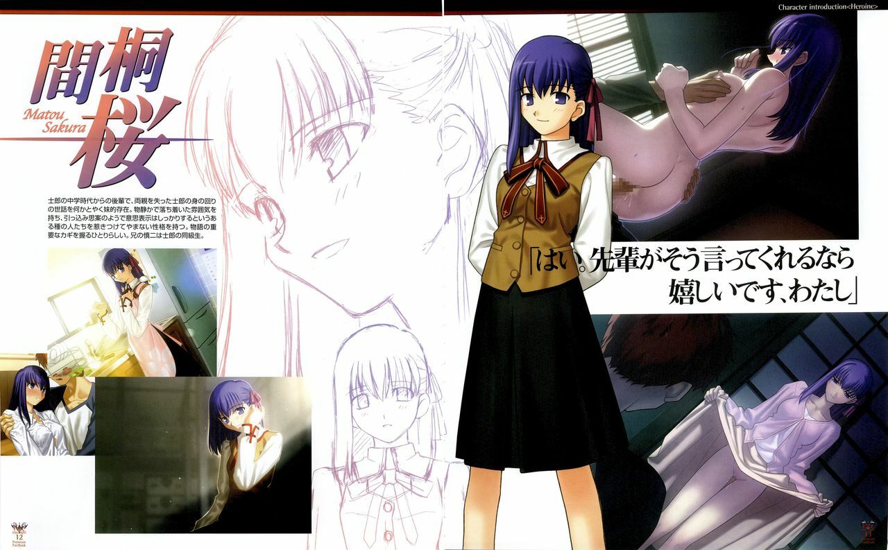 Fate/stay night Premium FanBook page 9 full