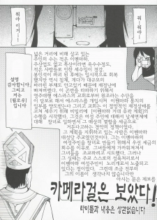 (C70) [Forbidden-Lips (Ryo)] Mabi Life 3 | 마비 라이프 3 (Mabinogi) [Korean] [Des] - page 6