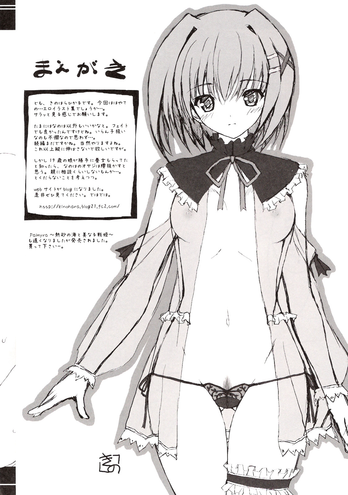 (SC40) [Lil marleen (Kinohara Hikaru)] Ethnica (Mahou Shoujo Lyrical Nanoha StrikerS) page 2 full