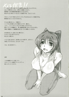 (C79) [Yamaguchi Print (Tamaki Yayoi)] CS RADICAL (ToHeart2) - page 17