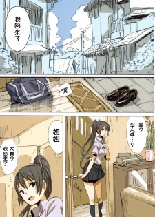 (COMITIA94) [Chroma of Wall (saitom)] UnisiS [Chinese] [Hurai866汉化] - page 2