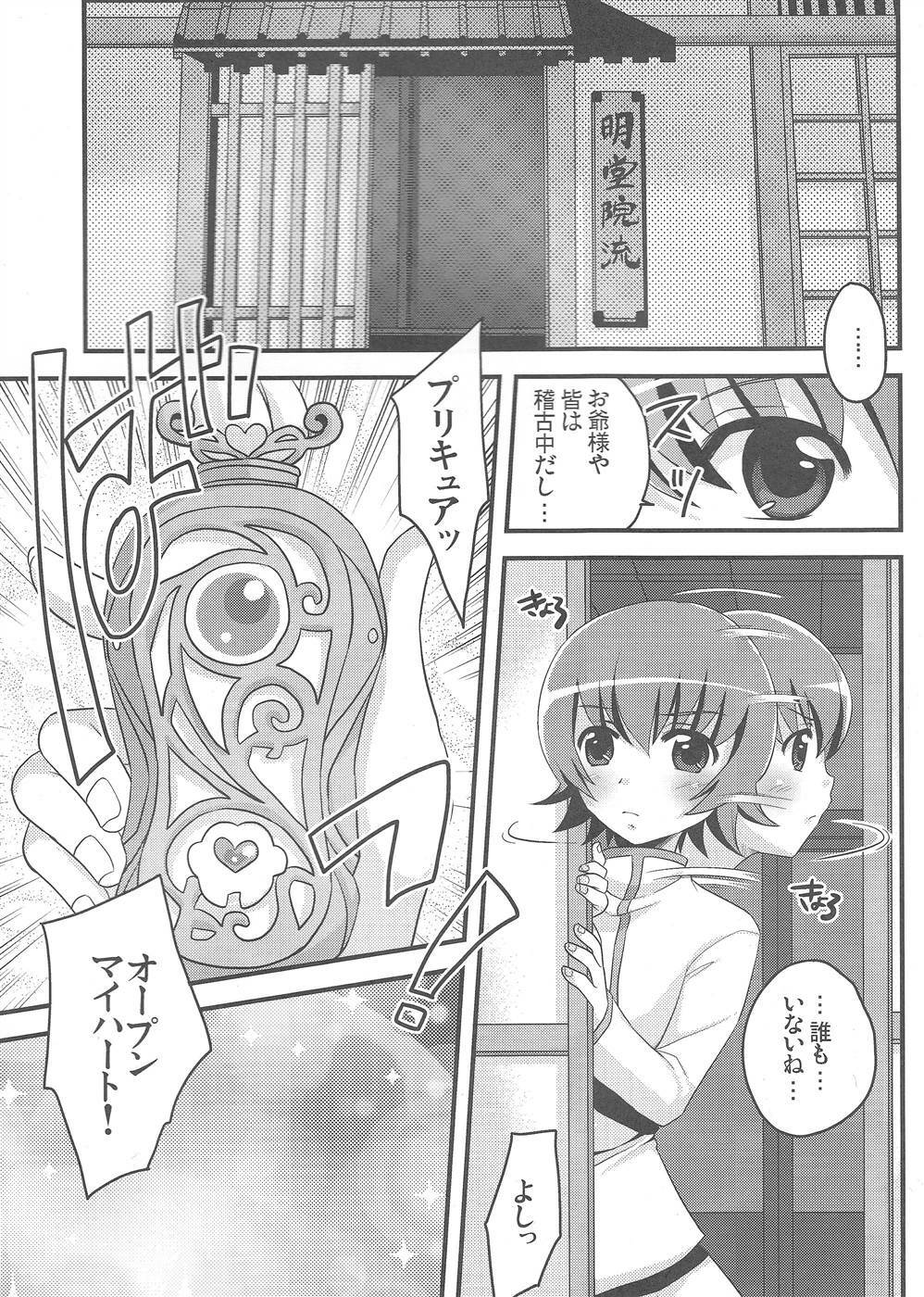 (C79) [Tounantou (Arata Mai)] Kimi no Kozue, Boku no Kage (Heartcatch Precure!) page 4 full