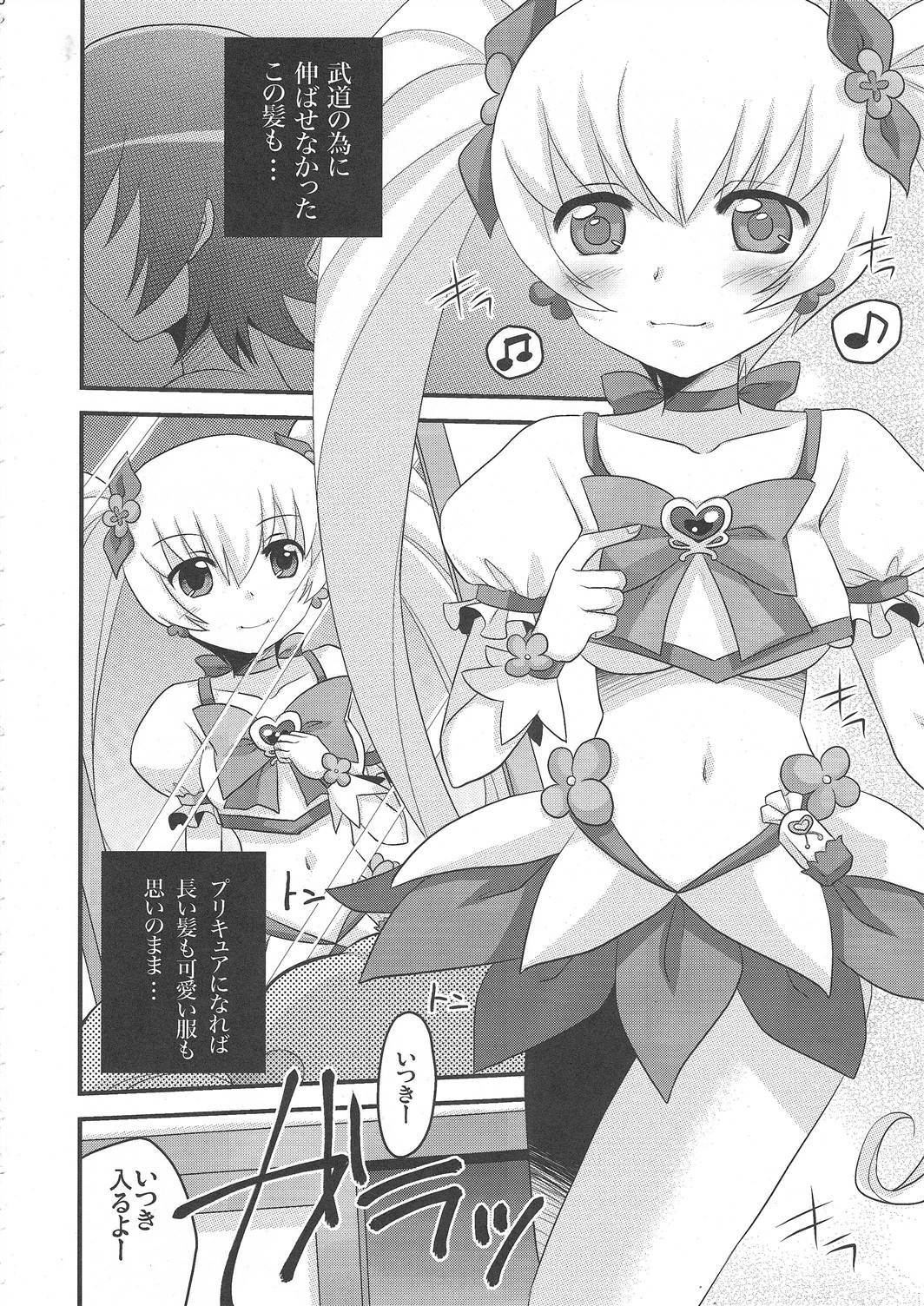 (C79) [Tounantou (Arata Mai)] Kimi no Kozue, Boku no Kage (Heartcatch Precure!) page 5 full