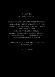 (C76) [INSERT (KEN)] 2009.summer Genteibon DREAM CLUB -Rui- (Dream C Club) [Spanish] [Lateralus-Manga] - page 2